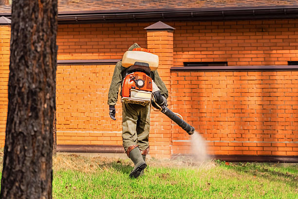 Trusted Ant Control service in Elwood, IL - Nex Pest Control